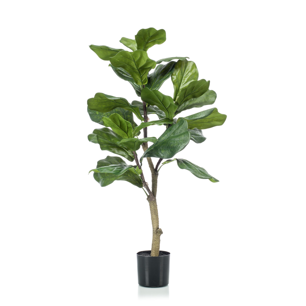 Ficus Lyrata / Tabaksplant kunstplant