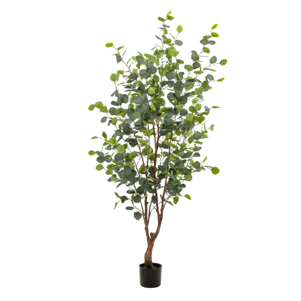 Eucalyptus Kunstplant